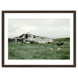 Sheep with a farmhouse - Iceland thumbnail