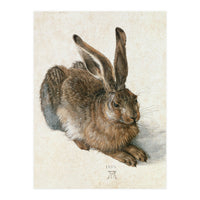 Hare-Hase. Watercolour. (Print Only)