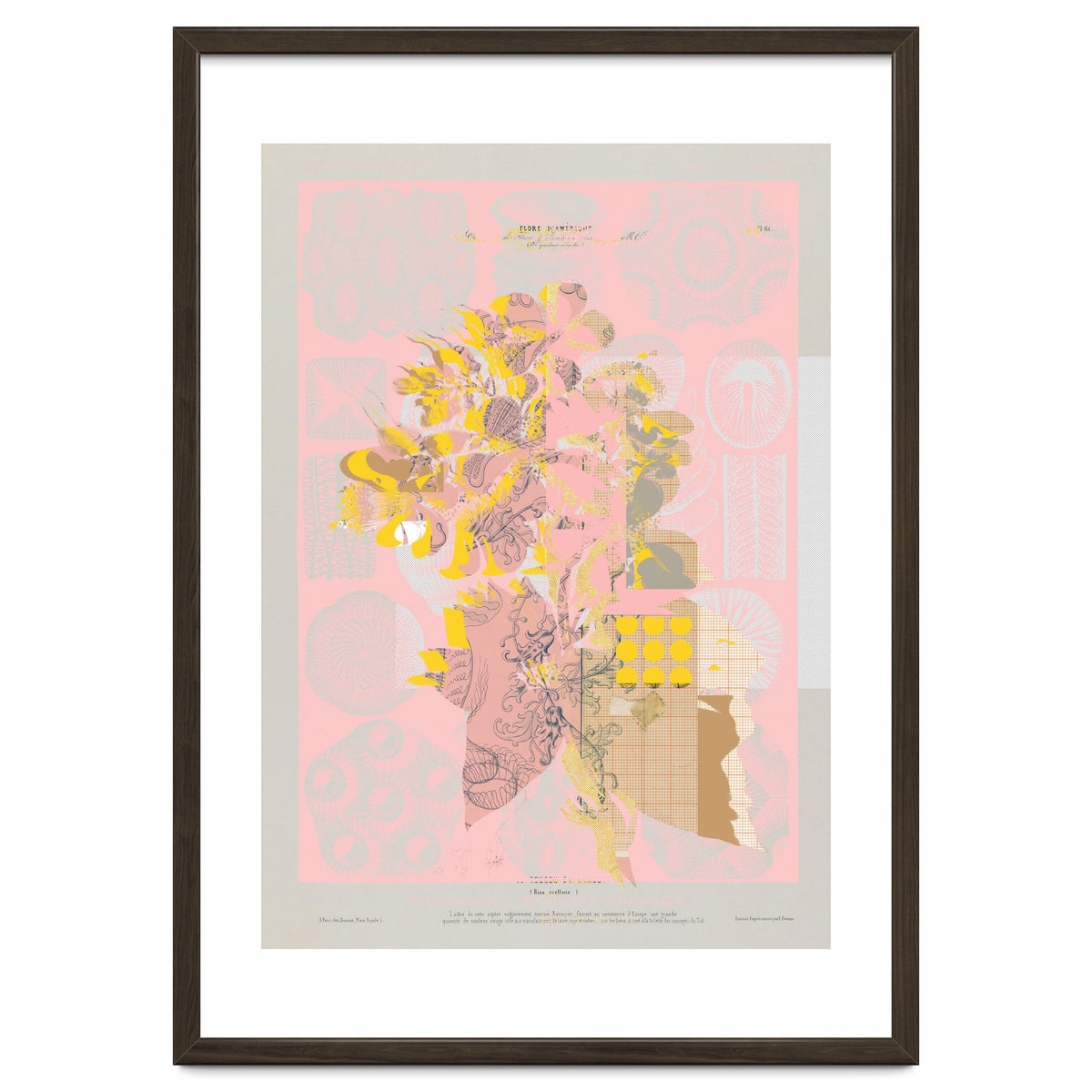 The First Plant · Tuesday Mix Mit Resten