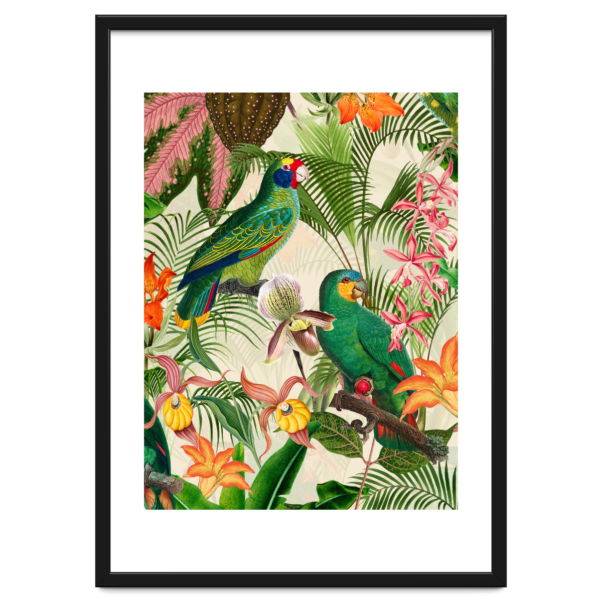 Parrots in tropical Jungle