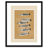 Minimal Fish Study thumbnail