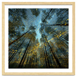 Enchanted Night Forest with Glowing Fireflies thumbnail