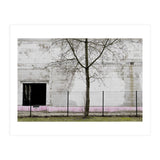 A tree in front of the wall (Print Only) thumbnail