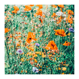 Eva | Nature Floral Meadow Garden | Photography Botanical Spring Bohemian Flowers (Print Only) thumbnail
