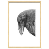 Huginn thumbnail