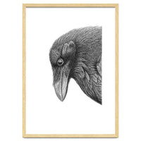 Huginn