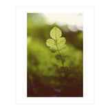 Out of the green (Print Only) thumbnail