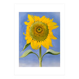 Georgia O’Keeffe – Sunflower, New Mexico (1935) | Bold Modernist Floral Painting Inspired by the American Southwest (Print Only) thumbnail