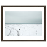 Seagulls in the winter snow beach thumbnail