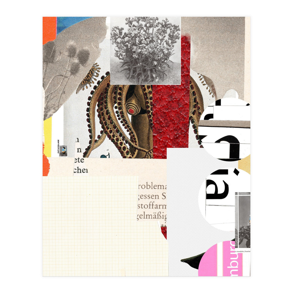 Another Daydream Night Flow · In The Eye Of The Octopuss * (Print Only)