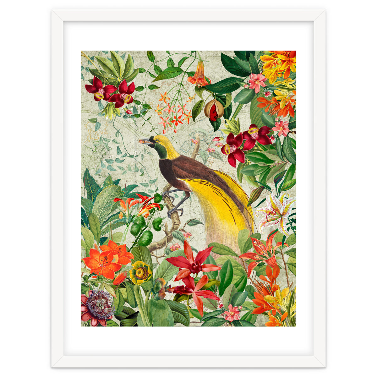 Bird of paradise vintage jungle