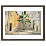 Lisbon Palm Tree thumbnail