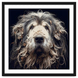 Old Dog 010 thumbnail