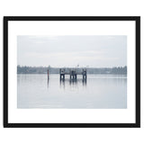Birds rest in the Lake thumbnail