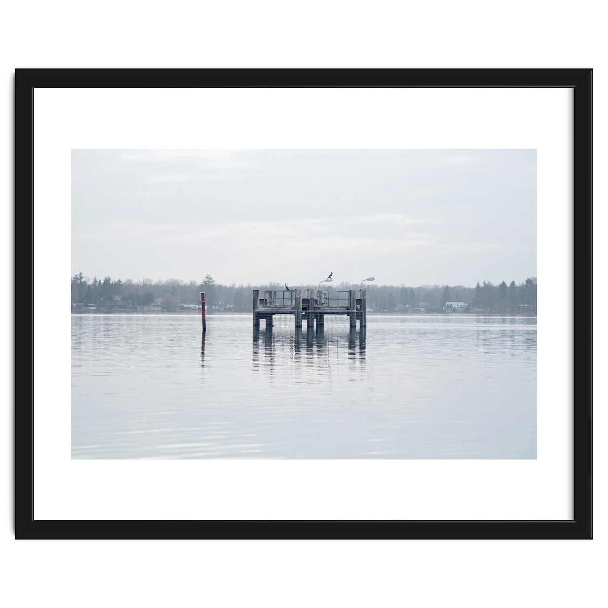 Birds rest in the Lake