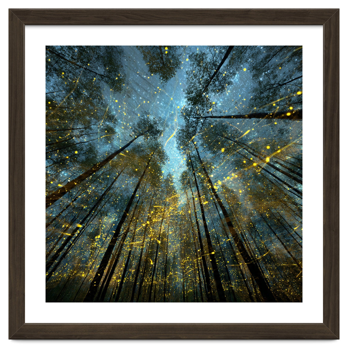 Enchanted Night Forest with Glowing Fireflies