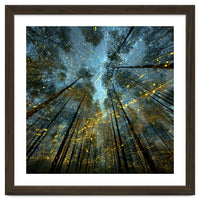 Enchanted Night Forest with Glowing Fireflies