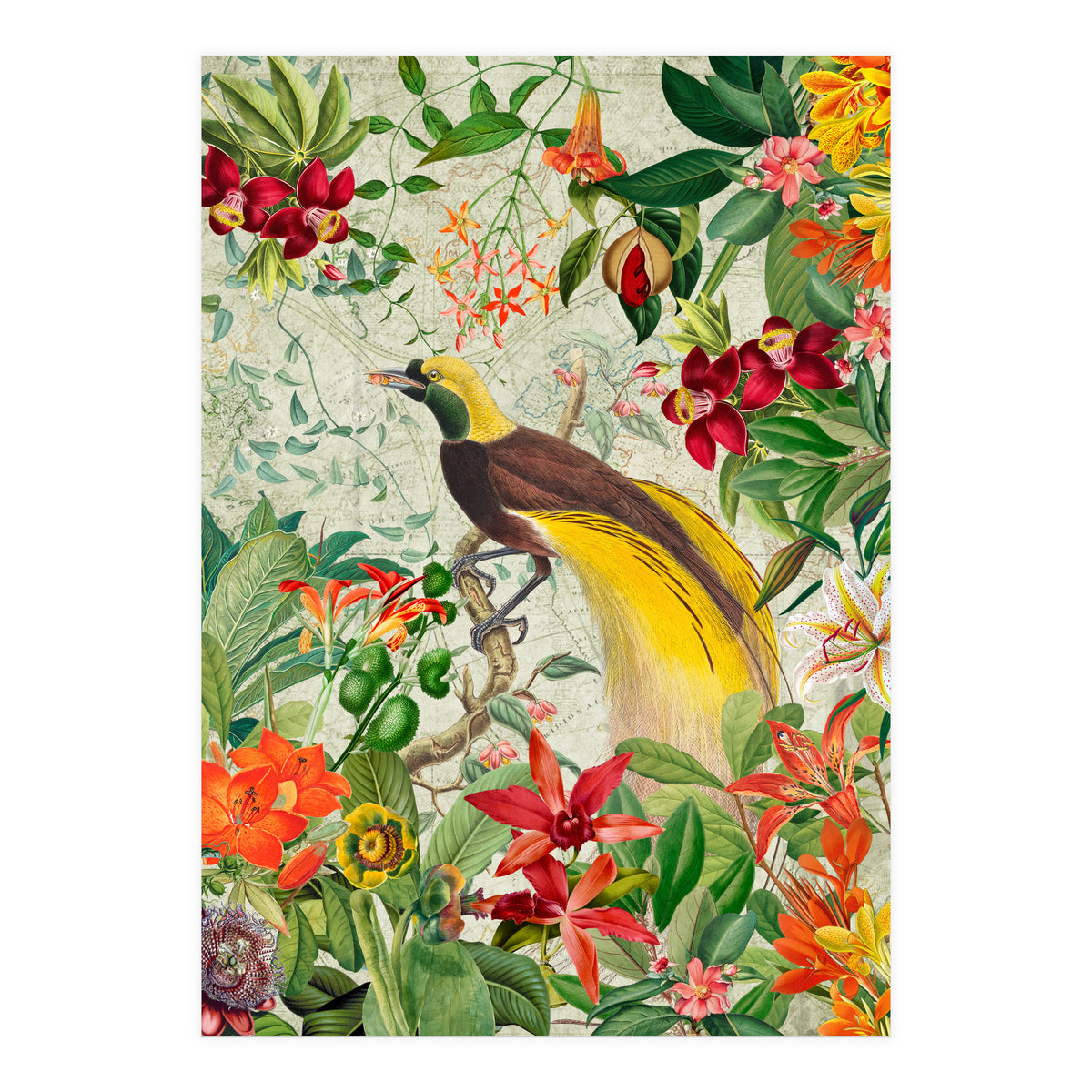 Bird of paradise vintage jungle  (Print Only)