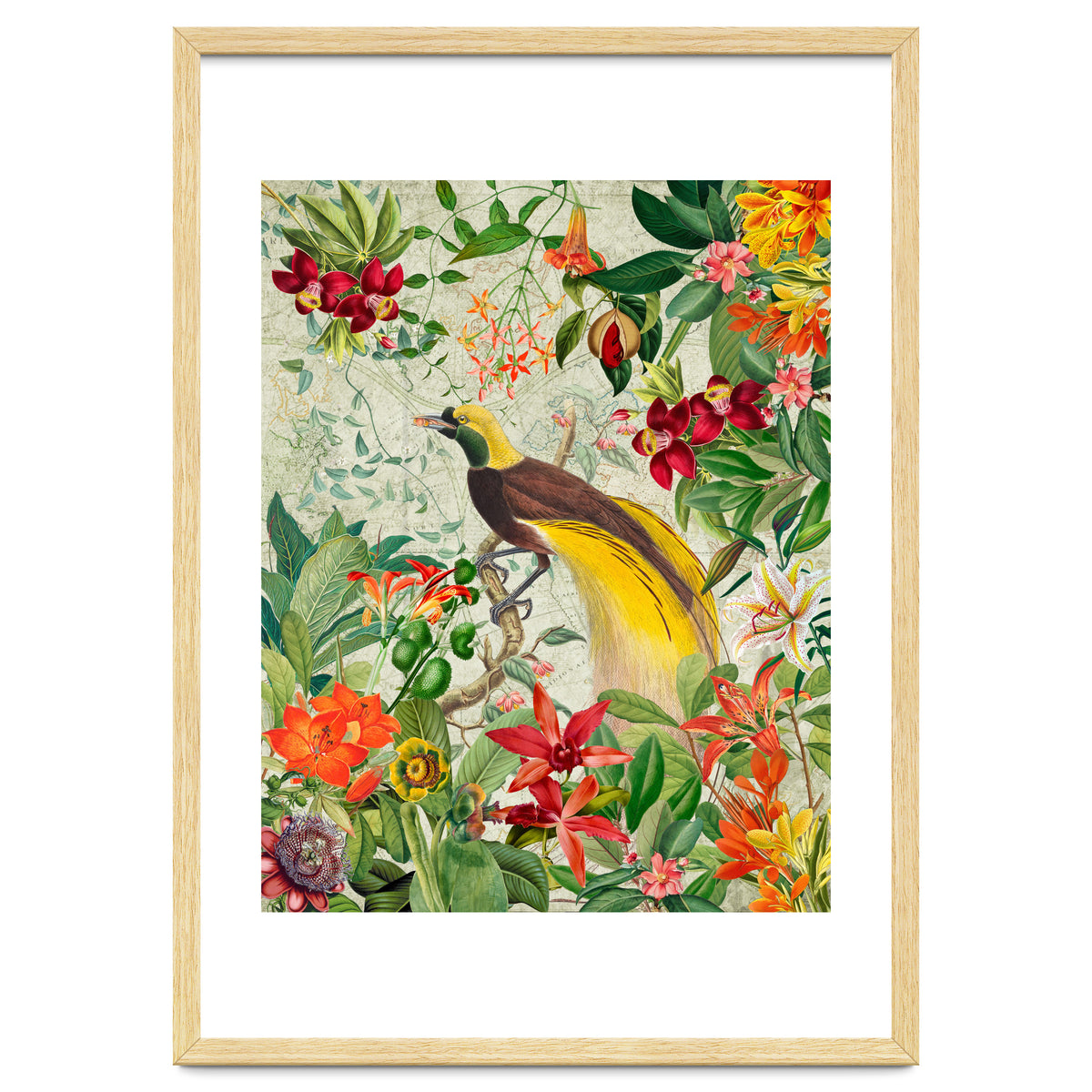 Bird of paradise vintage jungle
