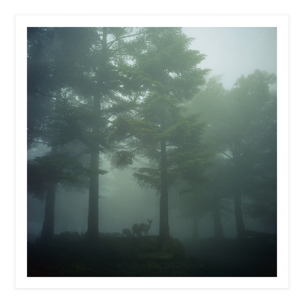 Silence of breath - 10 (Print Only)