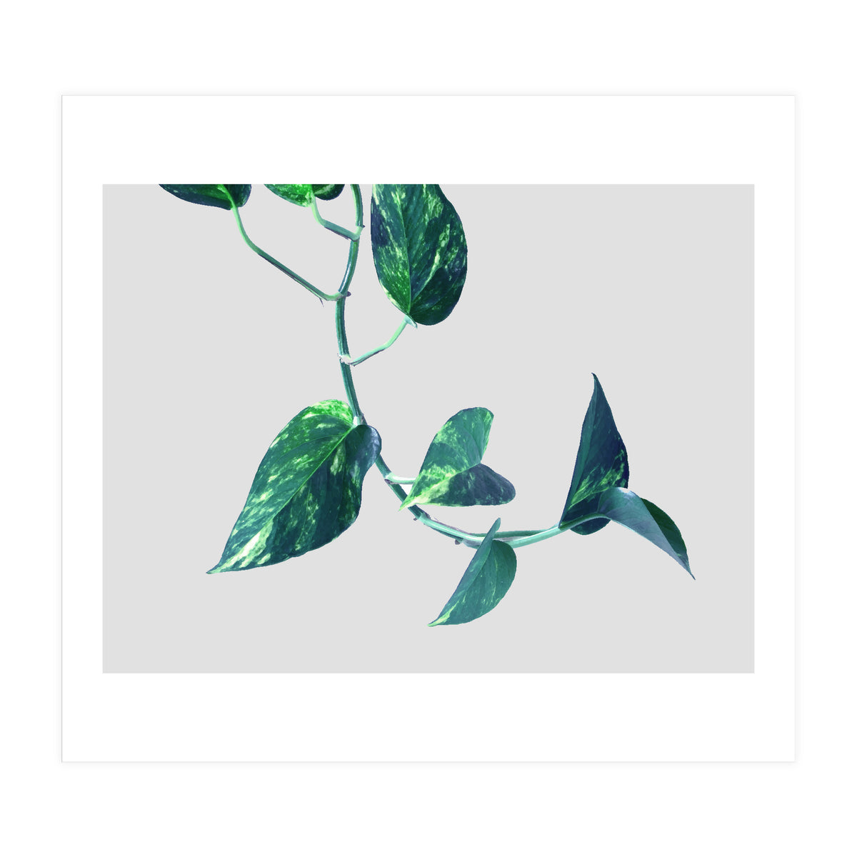 Projection & Emotion (Print Only)