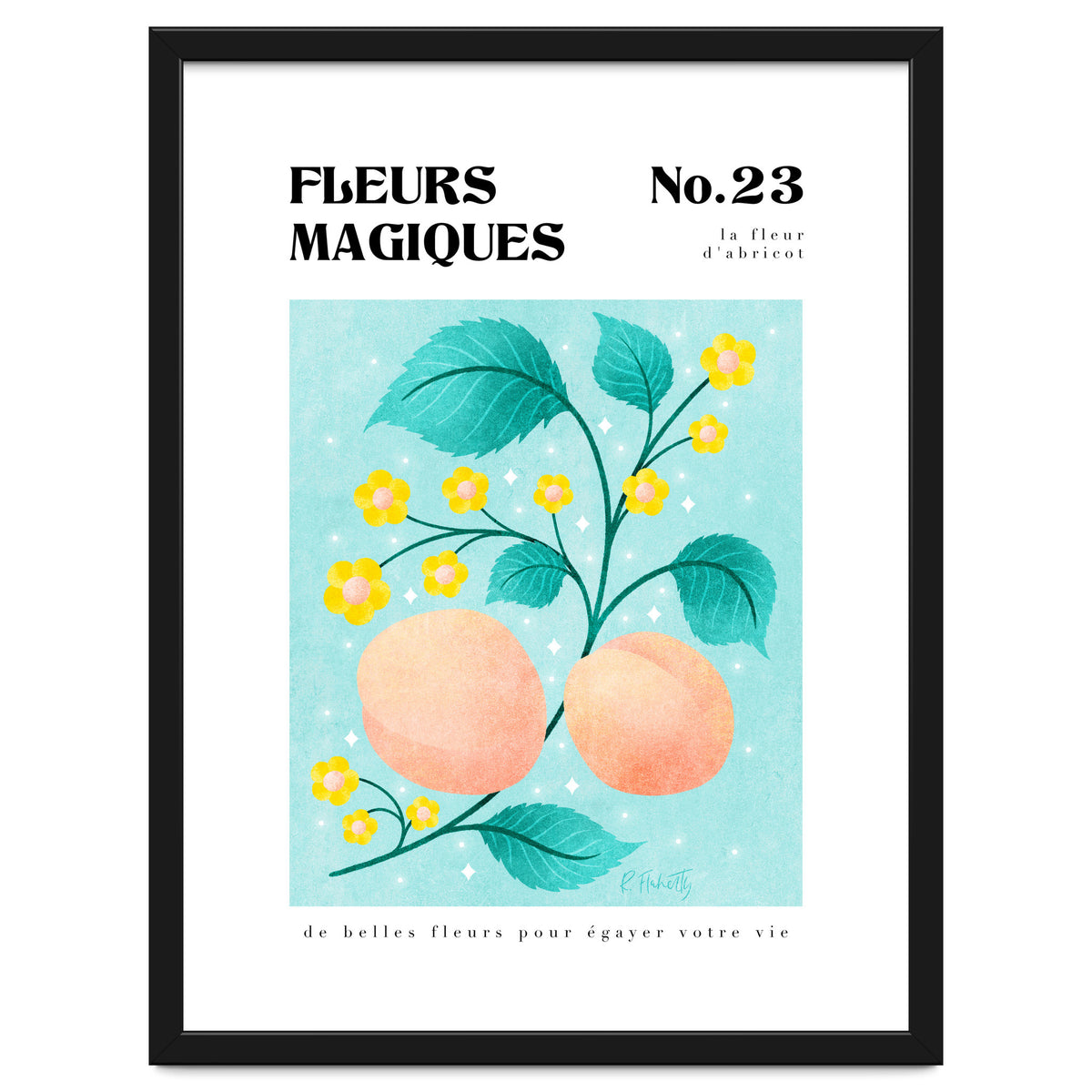 Magical Flowers No.23 Apricot Blossom