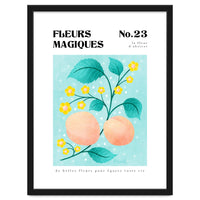 Magical Flowers No.23 Apricot Blossom