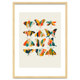 Colorful Butterflies thumbnail