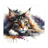Maine Coon Resting Portrait (Print Only) thumbnail