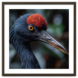 Black Crane Bird Head With Red Crown And Raindrops thumbnail