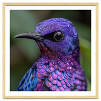 Vibrant Purple Bird With Water Droplets