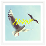 Never Settle thumbnail