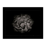 Backyard Flowers In Black And White No 81 with Border (Print Only) thumbnail