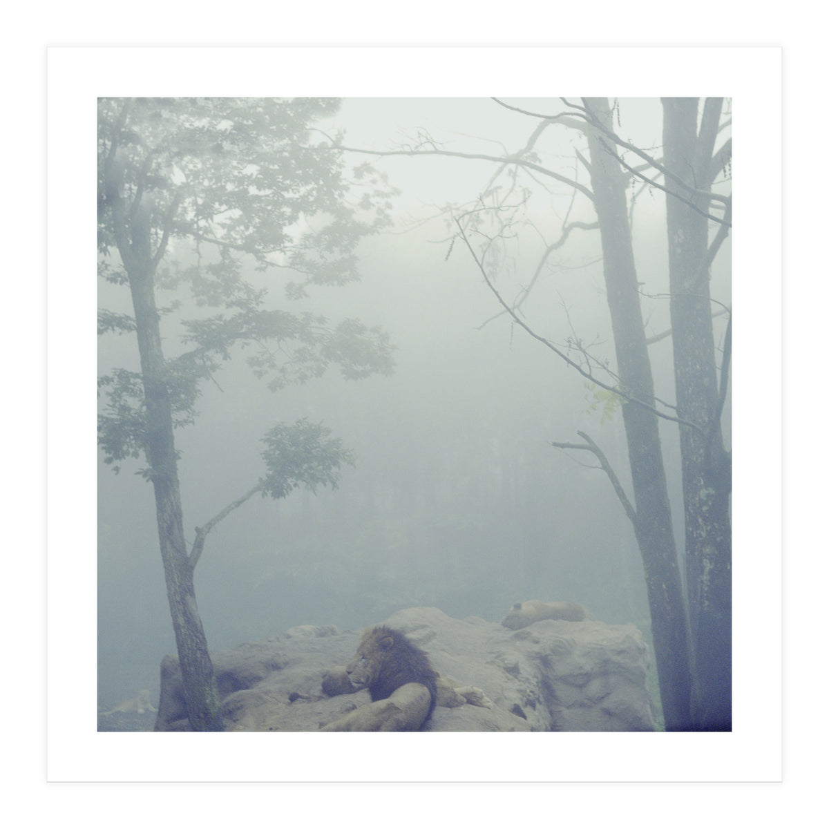 Silence of breath - 02 (Print Only)