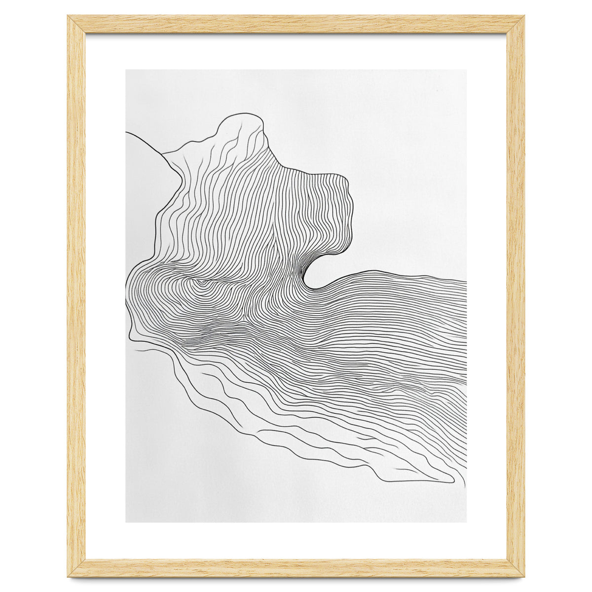 Abstract Black And White Organic Flowing Lines Pattern