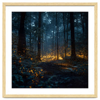 Enchanted Midnight Forest with Glowing Fireflies