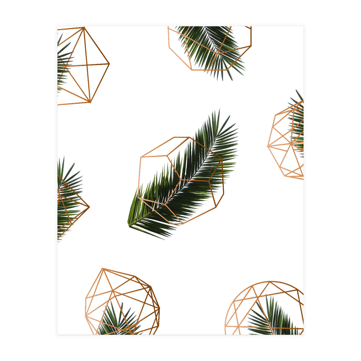 Palm  Geometry V2 (Print Only)