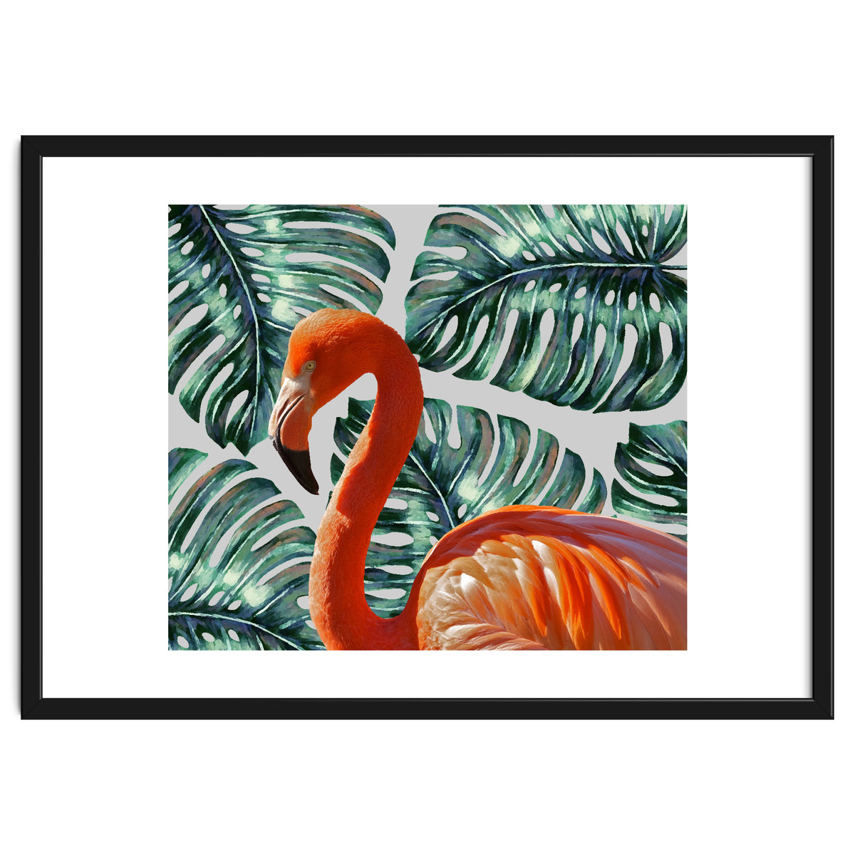 Flamingo Self Portrait