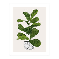 Fiddle Leaf Fig Tree Plant (Print Only)