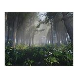 Art In The Forest (Print Only) thumbnail
