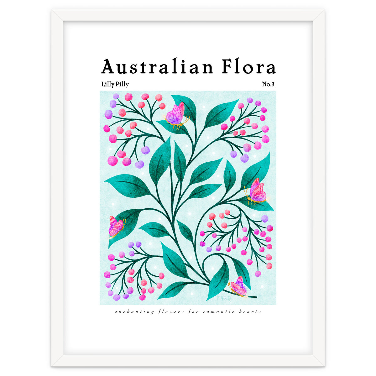 Australian Flora: Lilly Pilly