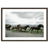 Running horses - Iceland thumbnail