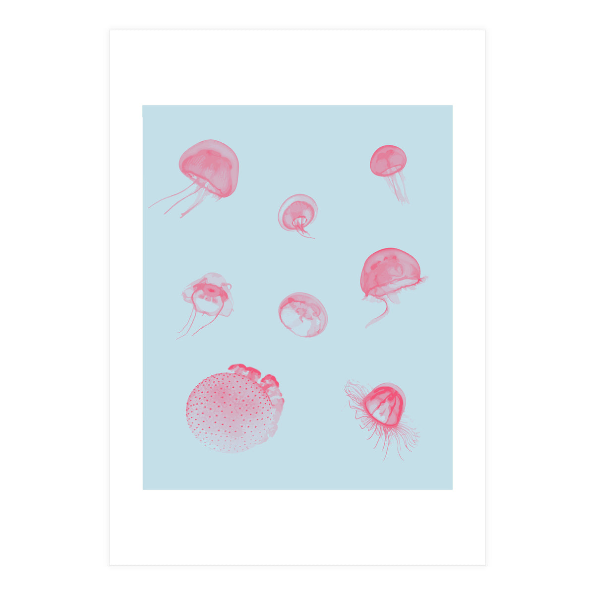 Jellyfish (Print Only)