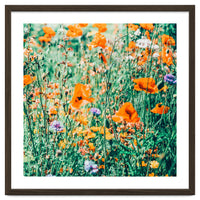 Eva | Nature Floral Meadow Garden | Photography Botanical Spring Bohemian Flowers