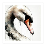Watercolor Swan Portrait (Print Only) thumbnail