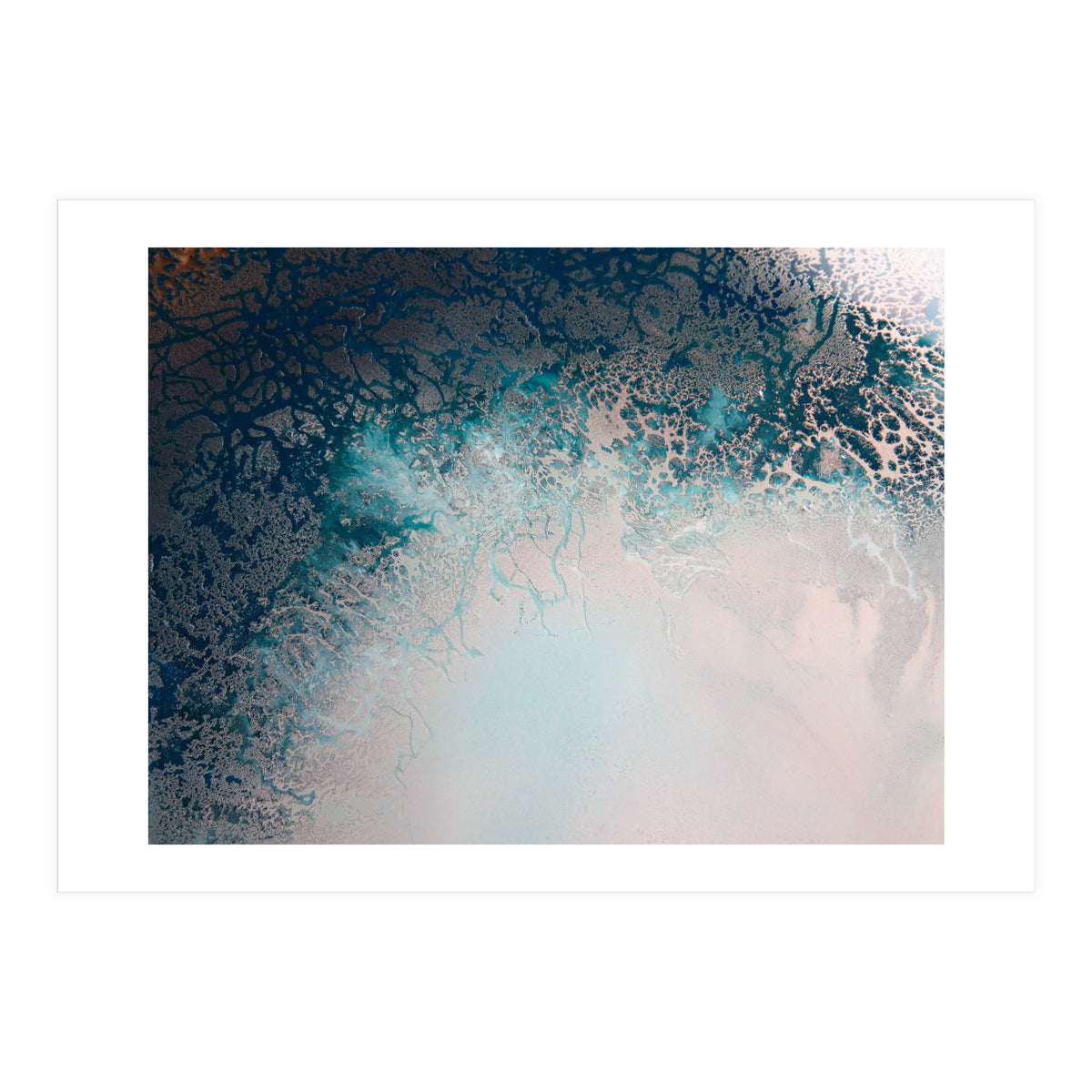 Flourish (Print Only)