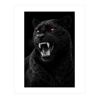 Black leopard with colorful eyes portrait (Print Only)