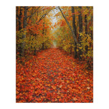 Lush Autumn Forest Path Covered (Print Only) thumbnail