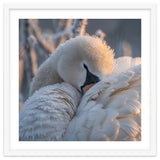 Close Up Of A Swan Covered In Frost And Dew thumbnail