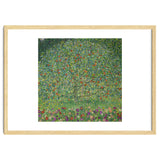 Apple Tree I, 1911 or 1912. Estates of Ferdinand and Adele Bloch-Bauer. thumbnail